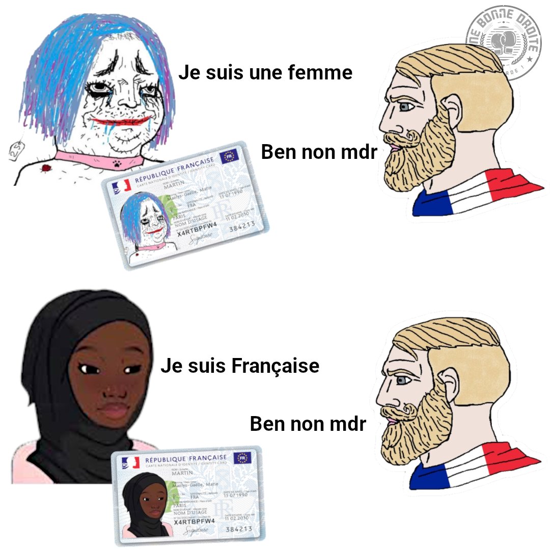Une femme, c'est quelqu'un qui n'a pas besoin de papiers officiels pour prouver qu'elle est une femme.

Un Français, c'est…