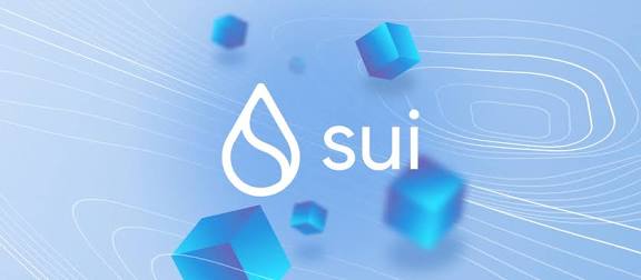 code_synth's tweet photo. Sui Client: This is the tool (often part of the CLI or SDK) that acts as the bridge. It’s the "messenger" that takes your request from your laptop and delivers it to the Sui network.
#justlearntchallenge #learningsui #move #SuiBlockchain https://t.co/rc5UJWCC8J