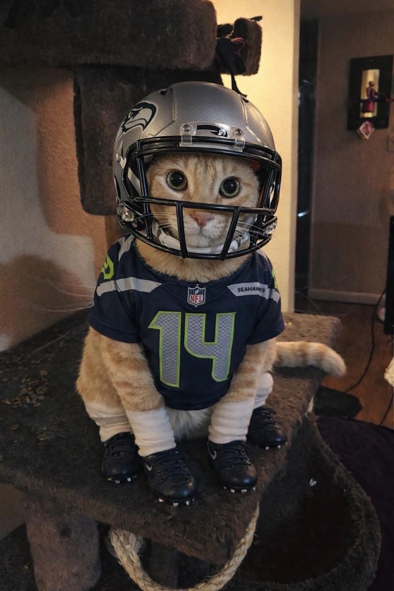 The Church of Pawstafarianism tweet media