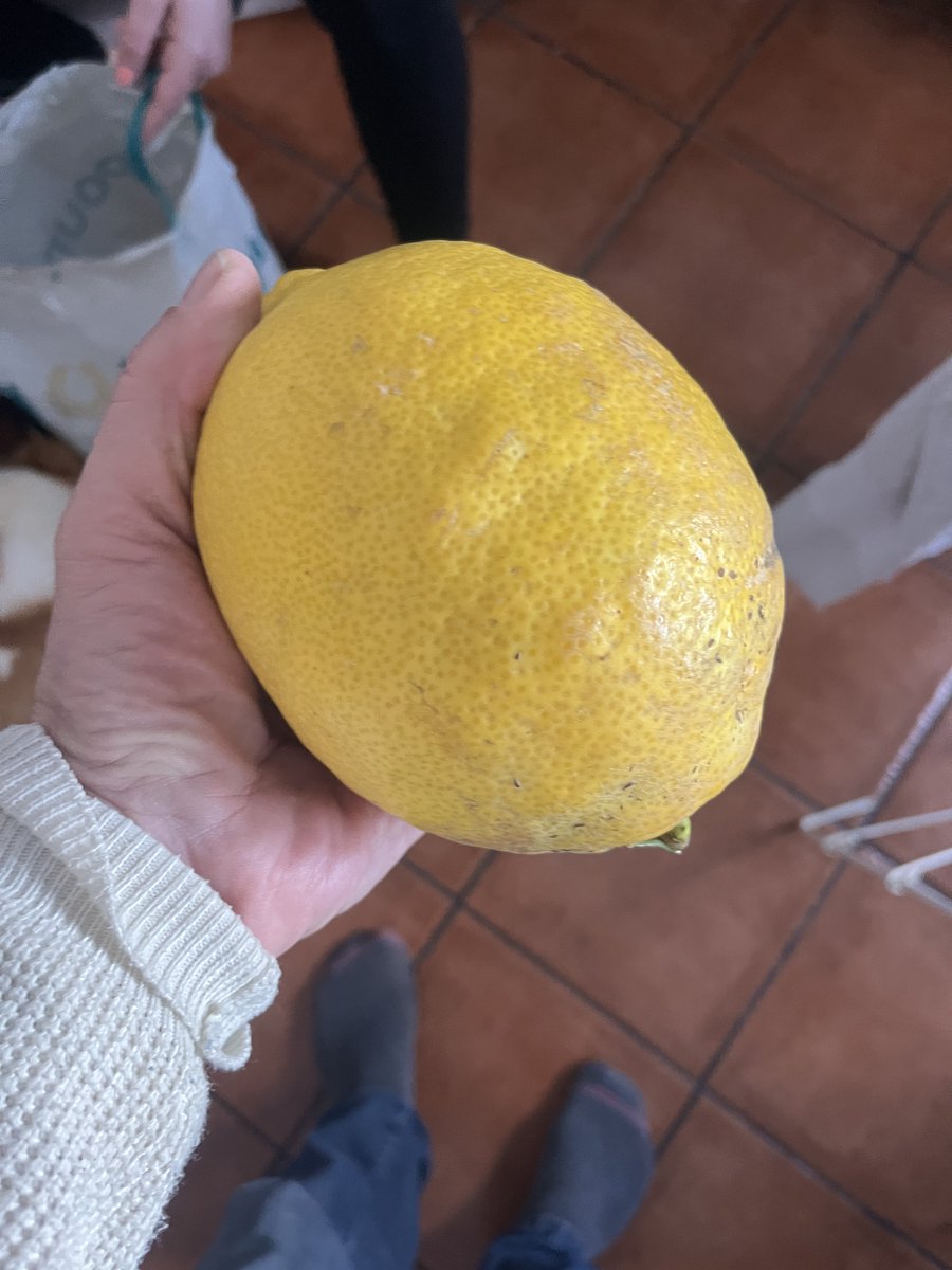 Tigger dictator know it all 😉 tweet media