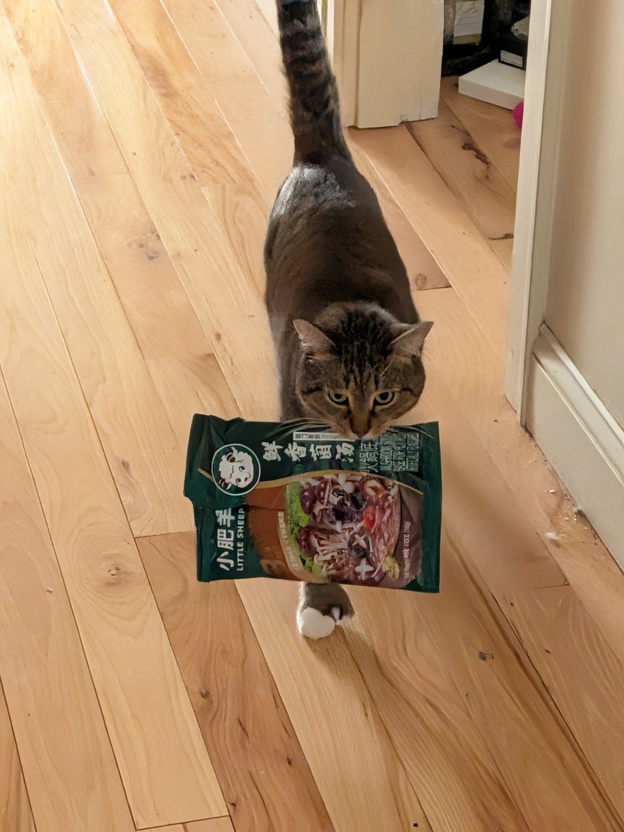 cap'n cookie 🍪 tweet media