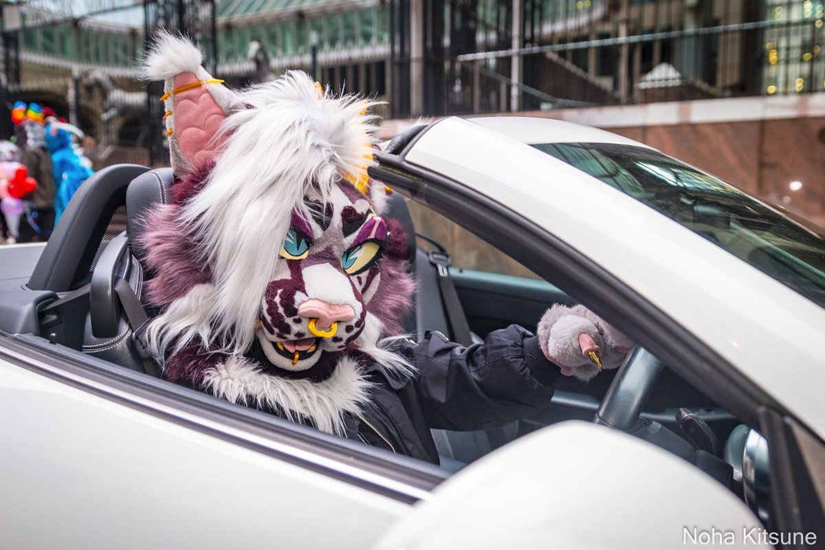 Noha Kitsune (LF PhotoFox) tweet media