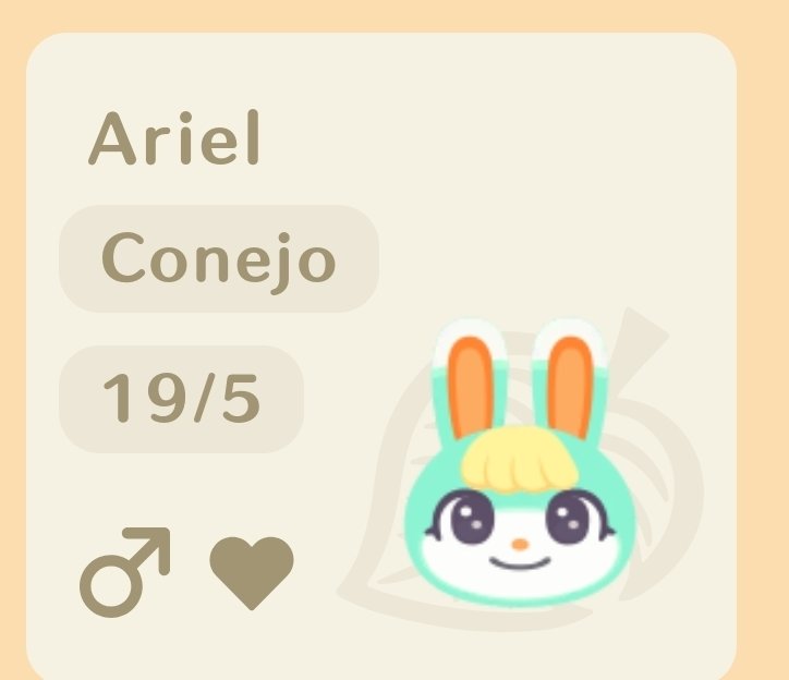 La gente siempre lo confunde con una conejita... pero es el único aldeano macho con aficcion a la moda y lo adorable. #AnimalCrossingNewHorizons