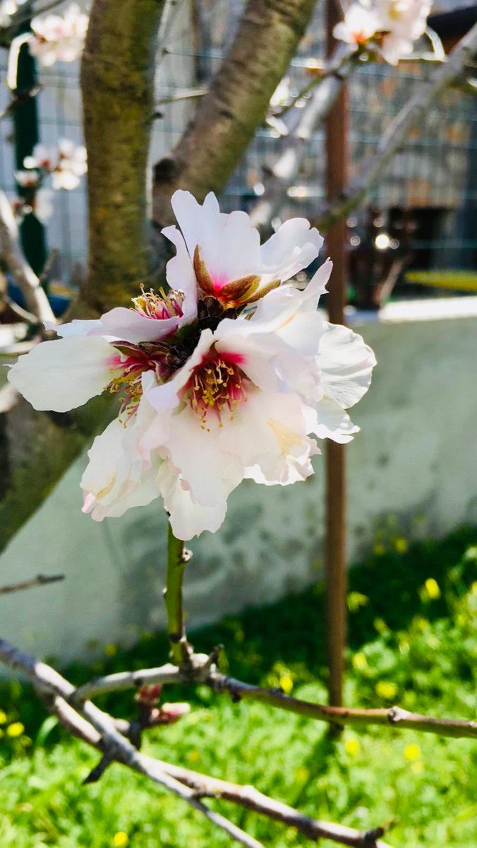 Seçmenin oyu emanettir, umududur. Verilen yetki siyasetçinin tasarrufunda olmamalı, başka bir partiye devredilmemelidir. Kırgınlık ya da anlaşmazlık varsa istifa edilebilir; karşı bir partiye geçmek seçmeni cezalandırmak demektir.  
Sadakat seçmenedir.