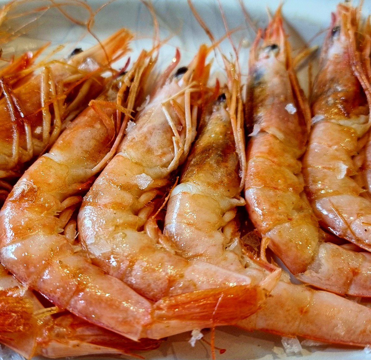 Comerbeberdormir tweet media