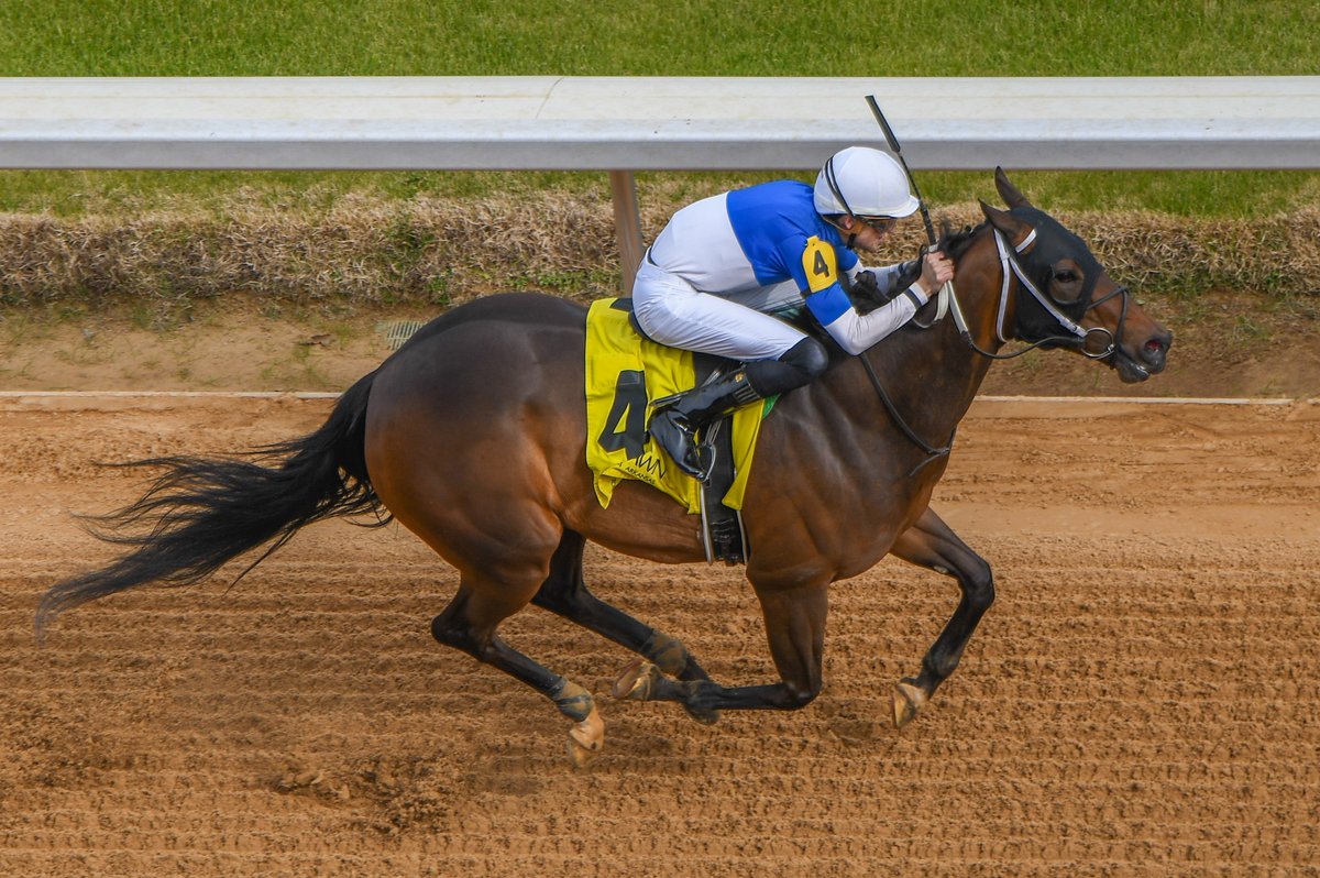 Robert Yates tweet media