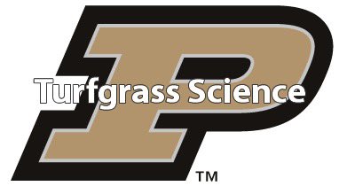 The Super Scratch Foundation, Inc. tweet media