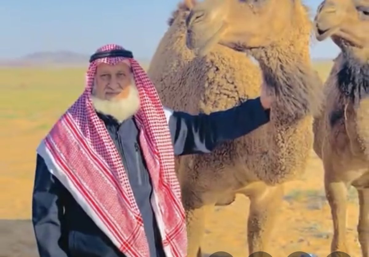 سعد بن صياد tweet media