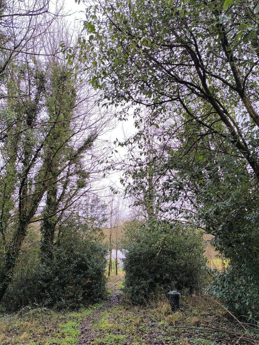 Blog_Ireland's tweet photo. 今までの人生で何度も環境を変えてきた。

国、仕事、生き方。

でも環境を変えただけでは人生は好転しなかった。

「自分の内面が変わらないと何も変わらない」

このアカウントでは
旅、移住、異文化の中で気づいた
自分の感情・思考・コミュニケーションの話をシェアしていくよ。 https://t.co/E7TqdCFUy6