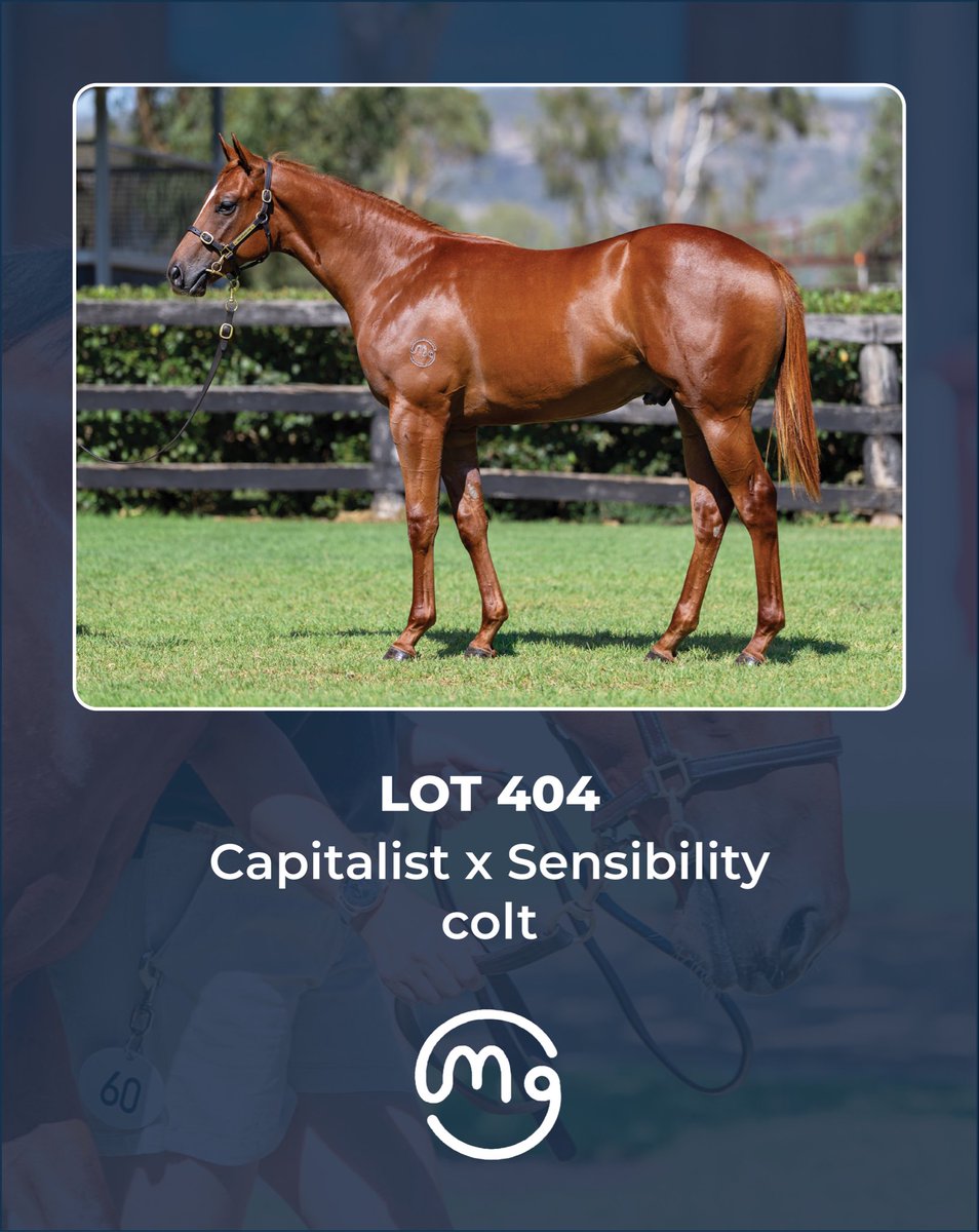 Mullaglass Stud tweet media