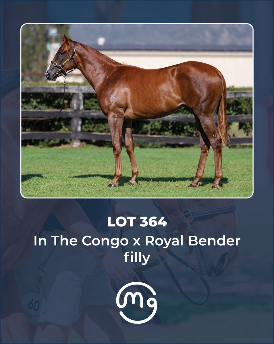 Mullaglass Stud tweet media