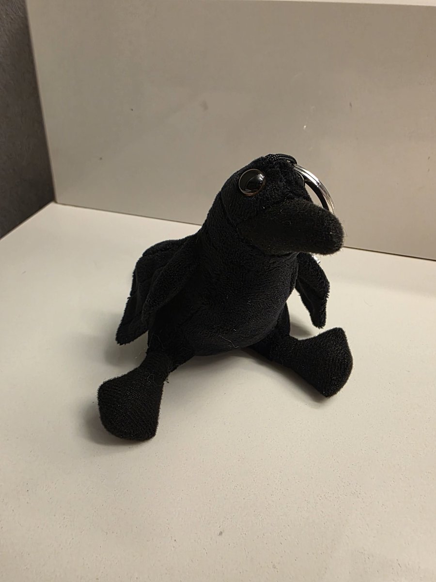 Sabrina (Speedy) tweet media