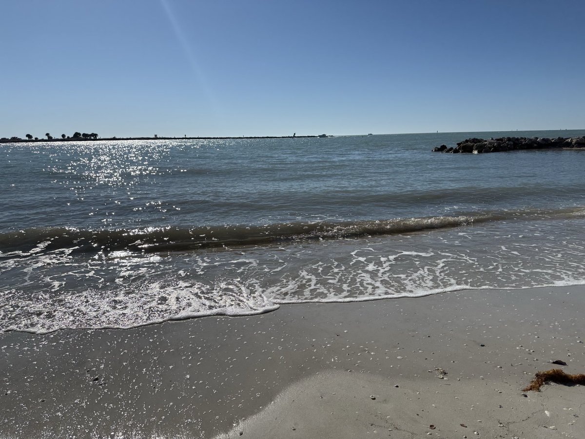 bennyc50's tweet image. Can confirm that it’s horrible down in Clearwater Beach. #jajaja