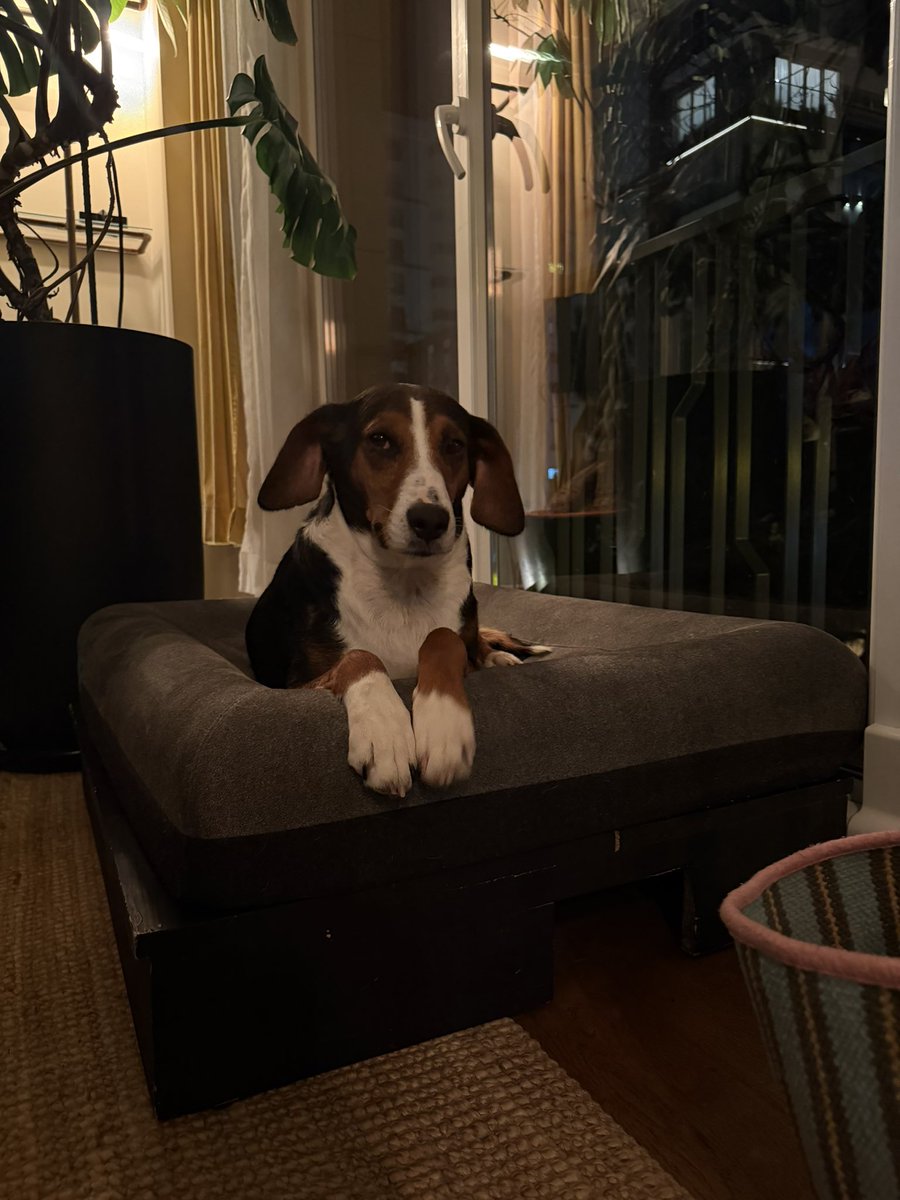 Vino’nun bi evde geçireceği ilk gecesi bugün. Her fav ailesini bulması için ona şans getirsin🍀