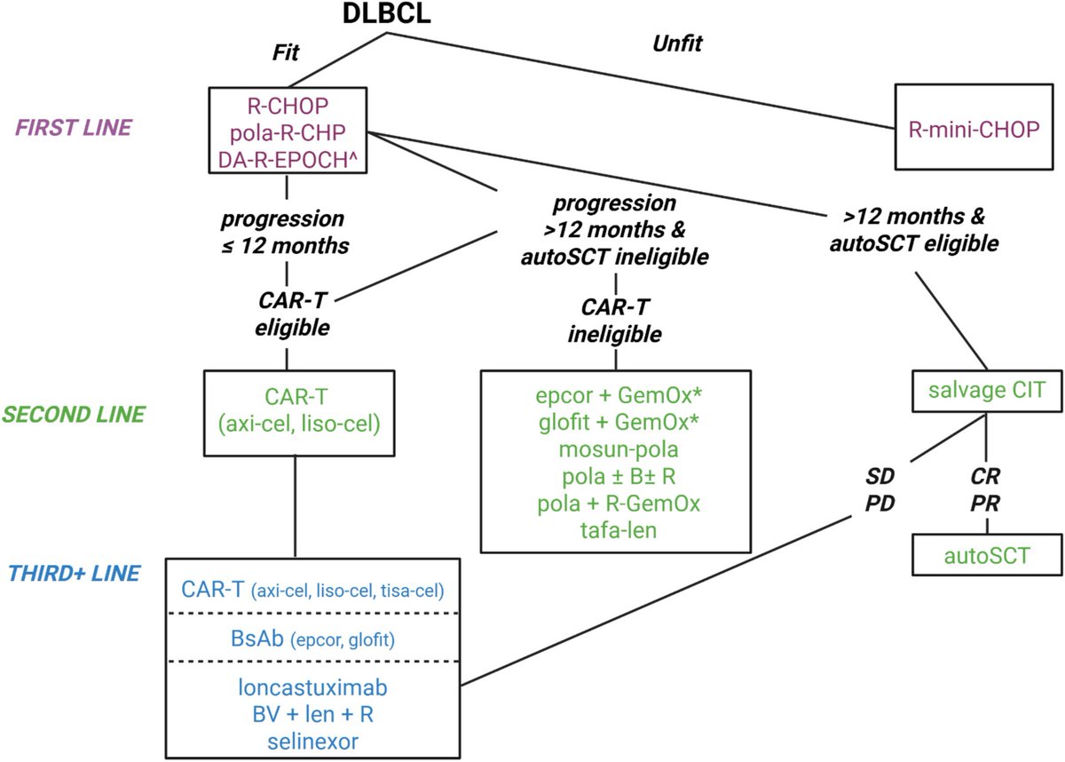 2026 Update on the Management of Diffuse Large B-Cell Lymphoma |American Journal of Hematology | Blood Research Journal | Wiley Online Library onlinelibrary.wiley.com/doi/10.1002/aj… #lymsm #DLBCL