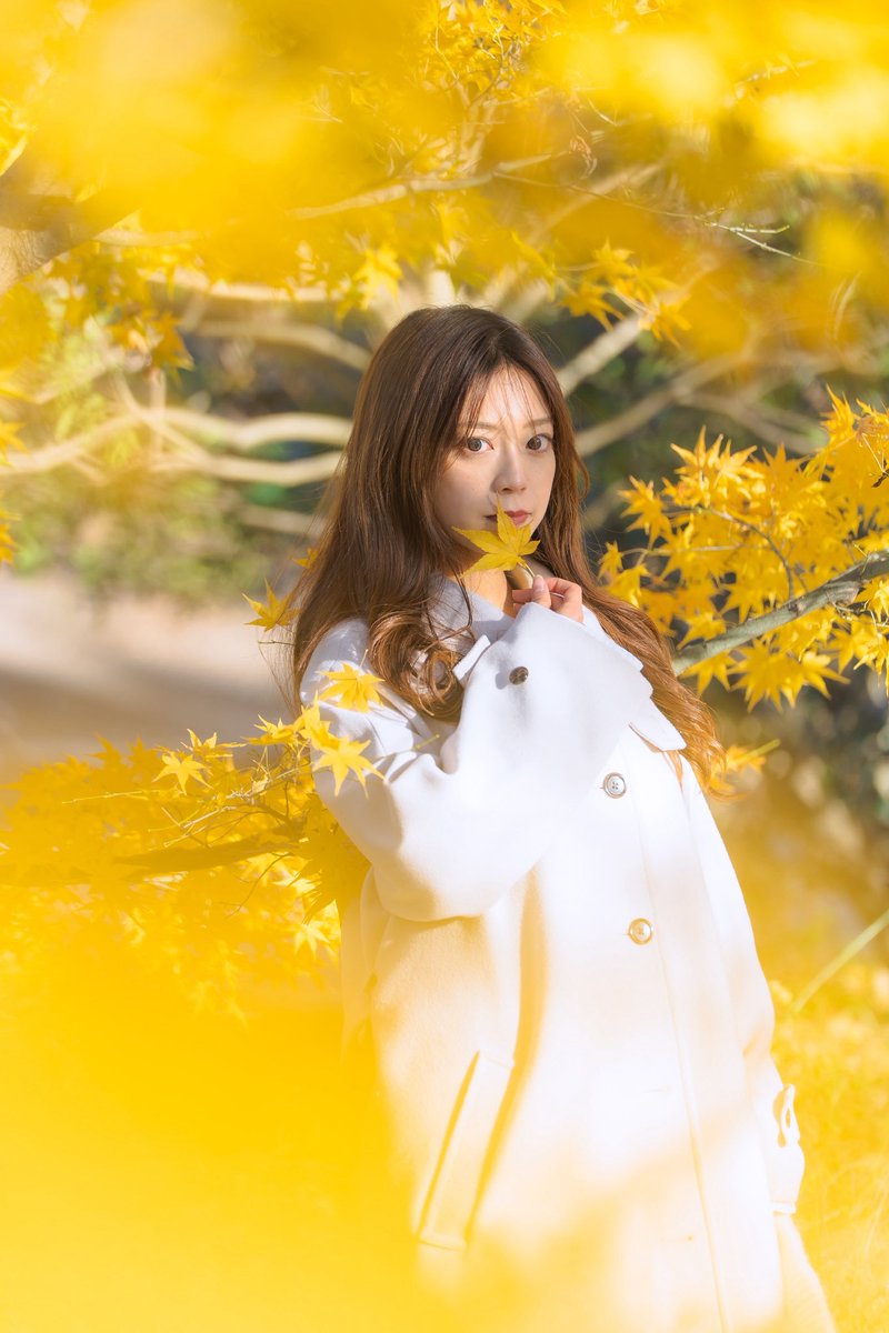 2025年撮影
モデル：リンさん
<a href="/rin_ohno_/">リ ン</a> 

黄色の紅葉

#ポートレート
#portrait
