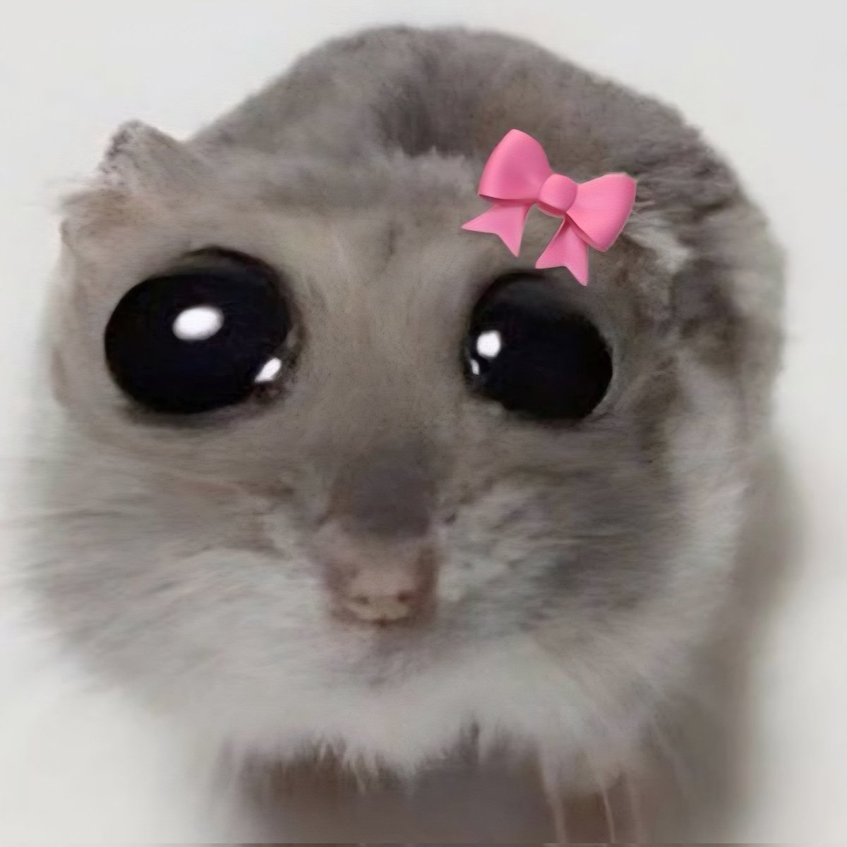 Bir demlik çayı bitirdiğimi gören demir kapsülüm