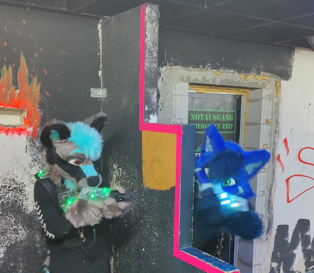 Katyro 🦊 tweet media