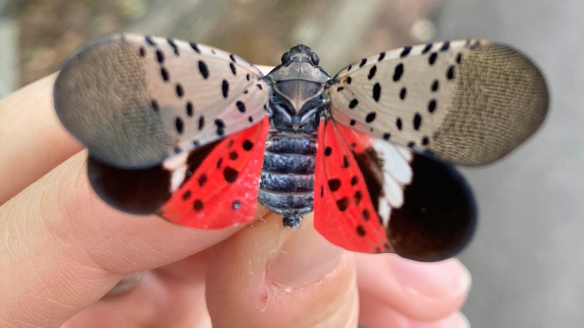 Kristin Winchell tweet media