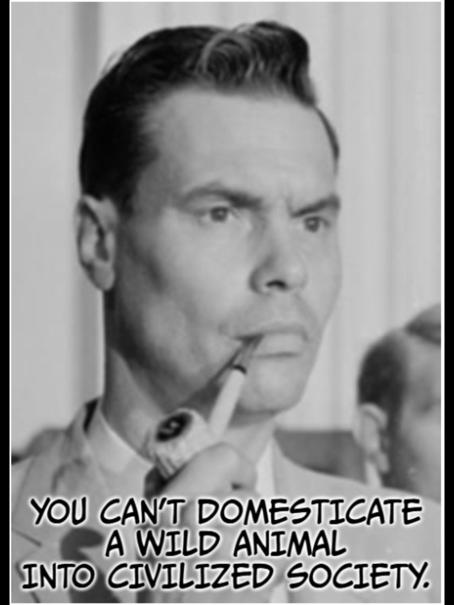 Rduck213 tweet media