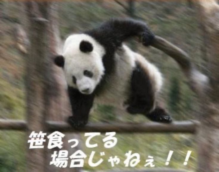 昨日のエニーの授業聞いたあとこれ