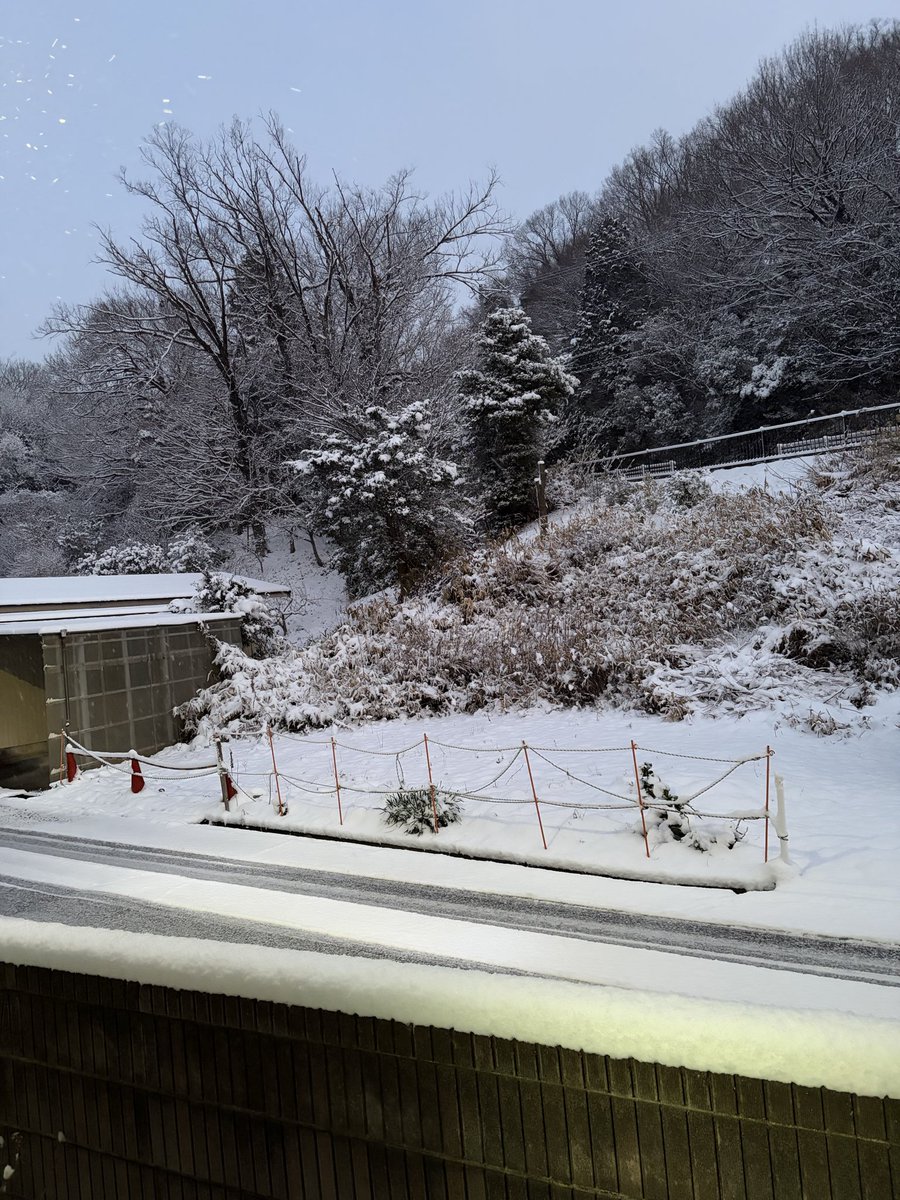 maty_jun's tweet photo. やっぱり積もってる。 https://t.co/2JTNhlp9Hw