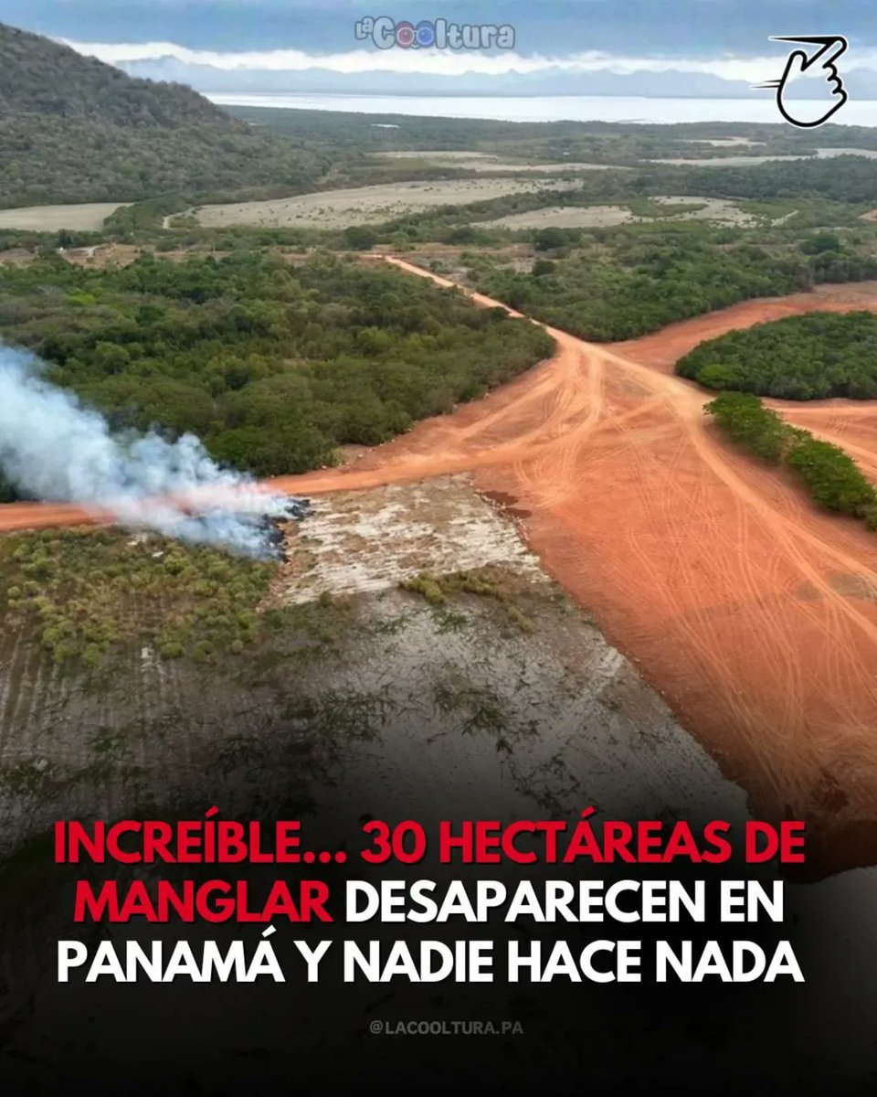 CesarWi98065754's tweet image. Esto es lo que el gobierno de @JoseRaulMulino quiere hacerle a nuestro país. Destruirlo con la minería y acabando con nuestros manglares