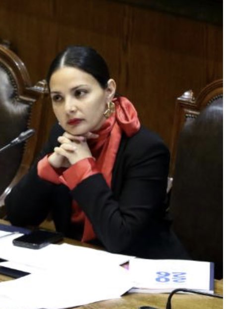 Ruiz parece, pero no Zurdo 🇨🇱🇨🇱👨‍👩‍👧🇨🇱 tweet media