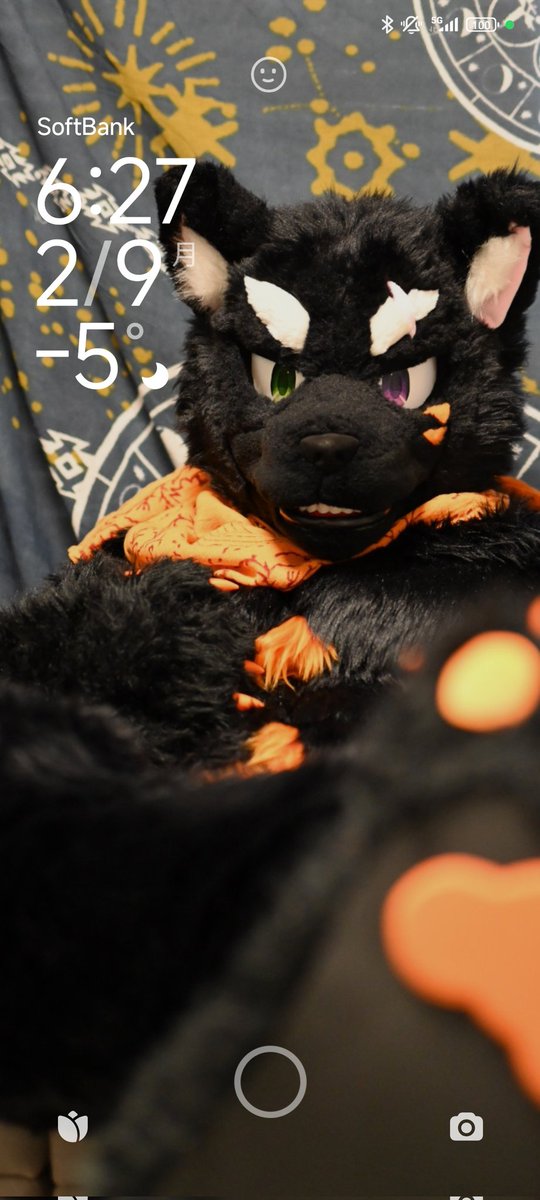 しろくま (@Shirokuma_4GLTE) / Posts / X