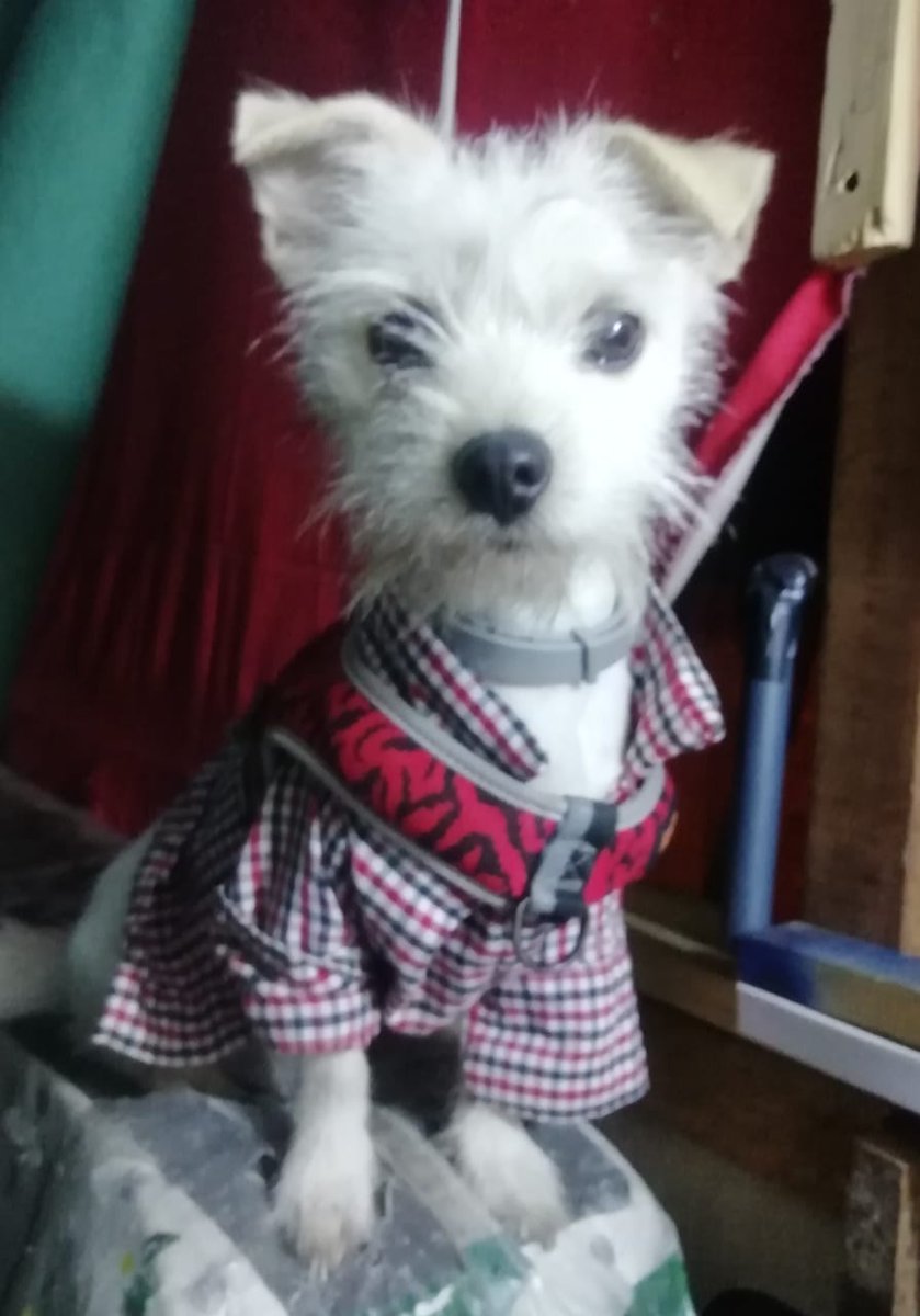 ⛧𝙀𝙓𝙏𝘼𝙎𝙄𝙐𝙎👁️⃤ tweet media