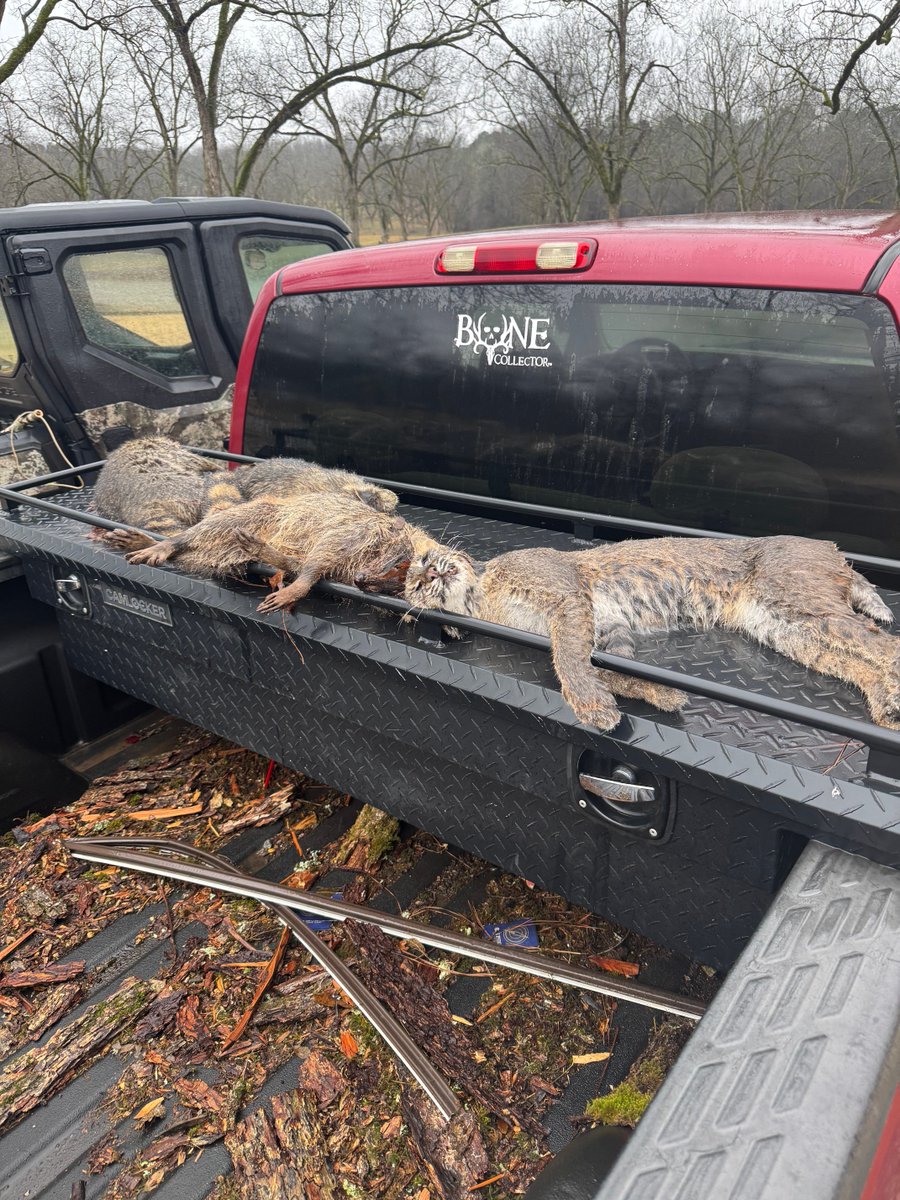 Michael Waddell tweet media