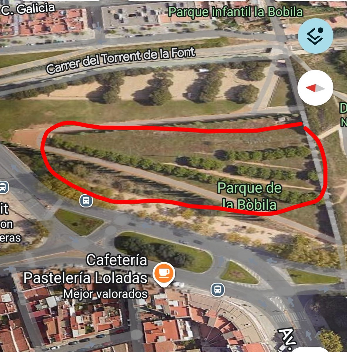 areagossosbdn's tweet image. ⚠️PELIGRO PROCESIONARIA⚠️
Nos pasan aviso de la presencia de abundante oruga procesionaria en los pinos del Parc del Torrent de la Font, entre los barrios de #LaMorera y #Bufalá, en #Badalona.
La zona está cerca del parque infantil🧒👶
Mucho cuidado los que paseais con perros 🐶