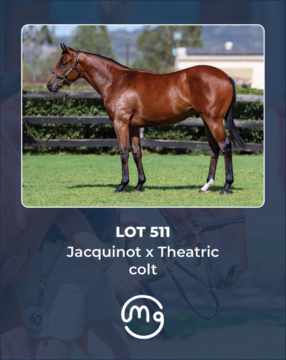 Mullaglass Stud tweet media