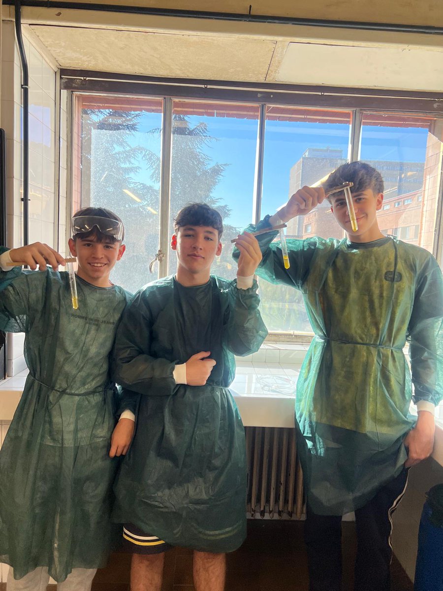 Colegio Decroly tweet media