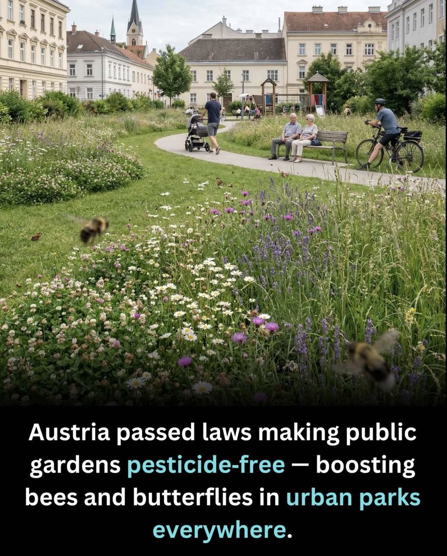 GMOScience tweet media