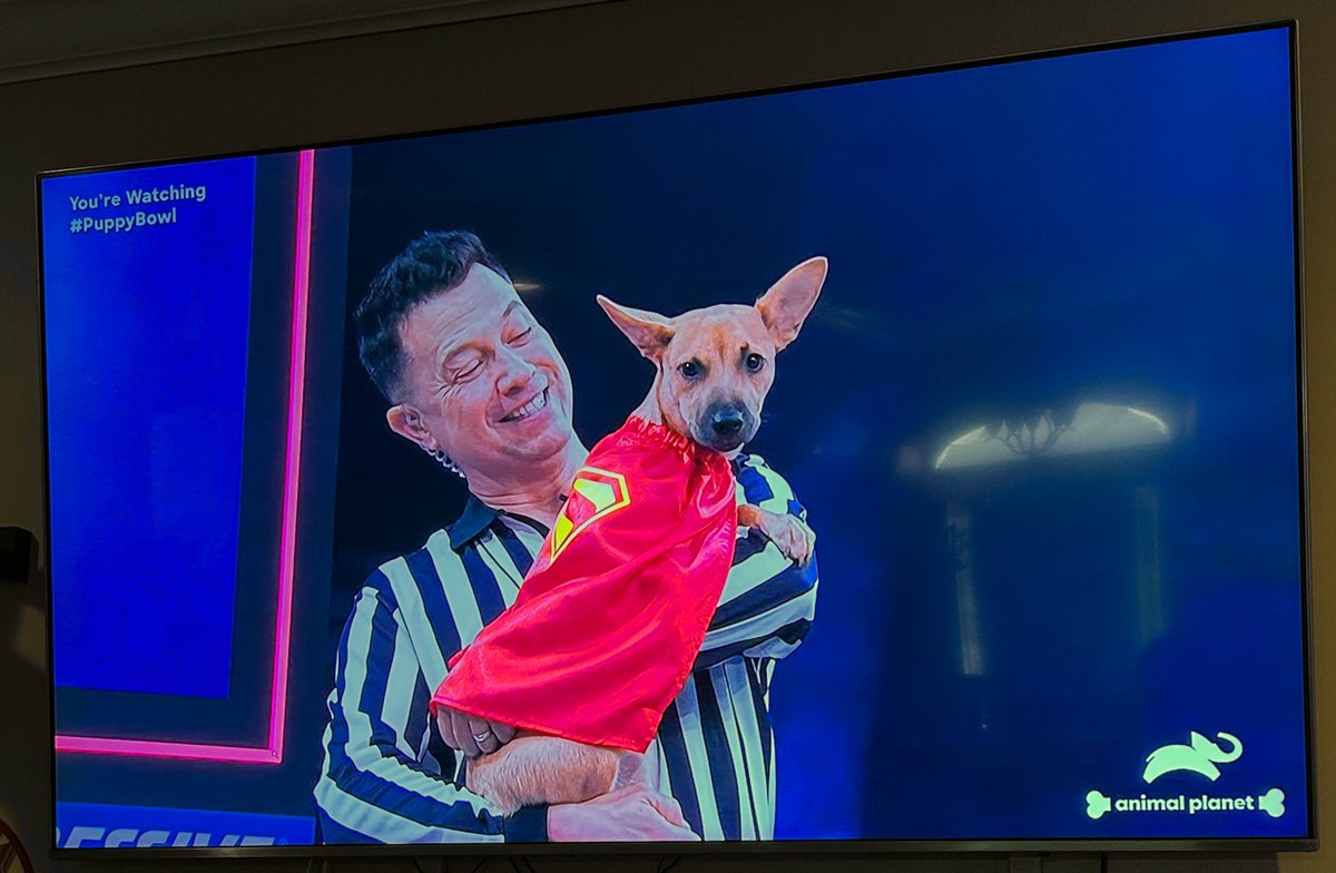 burnnglowla's tweet photo. Ohh, my whole heart!!! 😩🥹😭😍
😻🐶🐾🐾🐾
@AnimalPlanet #PuppyBowl #teamfluff #teamruff #teamoldies #teamgoldies #SuperBowlLX

Every single year, this is my FAVORITE part of Super Bowl Sunday!!! They even have a bunch of precious commercials too! 🥹❤️

OMG! ALL the puppies, kitties, and now… special needs & senior fur babies too?! 🥹
I cannot love it enough! I swear the referee has the best job everrr! 😭🙌🏼

The amount of cuteness always has me in tears! 😭❤️
The whole show… the precious cam views of the pups & kitties all over the place… the way they share their backstories… the announcers… the ref… Omgoodness, I caaan’t! 😭🥰
Literally EVERYTHING has me dying of cuteness overload! 😭😻🐶❤️

I pray they ALL get adopted into the most loving furever homes they deserve. PLEASE ADOPT, DON’T SHOP! 🥹💗🙏🏼
#AdoptDontShop

Personally, we have a total of 10 fur babies — all rescued and adopted too! 🥰
Our 5 beautiful kitties and 5 adorable pups range in age from 8 months to 15 years old! 💓
They’ve had our hearts since day one! WE LOVE THEM SOOO MUCH! 🥹😍💗

Rooting for every fur baby to be adopted today!!! PLEASE HELP THESE BABIES IF YOU CAN! 🤩
Sending ALL our love and prayers! XOXO! 🤗💓💋🫂🐾🙏🏼
