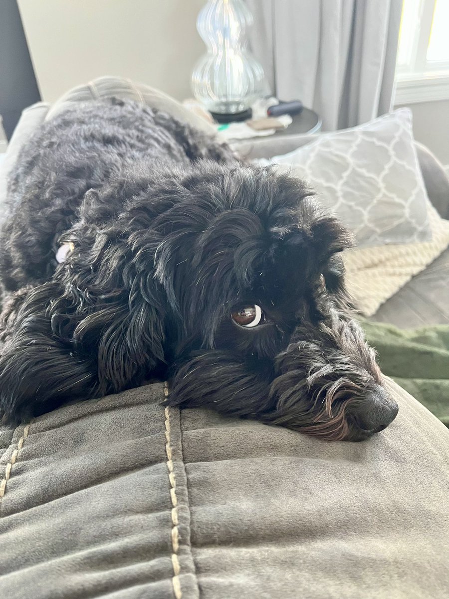 JGiesige's tweet photo. Super Bowl Sunday has already crowded a champion, @vesselgolf !

Huge shout out to @PGAPappas and Vessel Golf for this incredible Player V Pro stand bag.

Pictures don’t do the quality and craftsmanship justice. No detail spared! Can’t wait to get this baby out to play!! ☀️ ⛳️ 🐶 https://t.co/jm1m9sNJFU