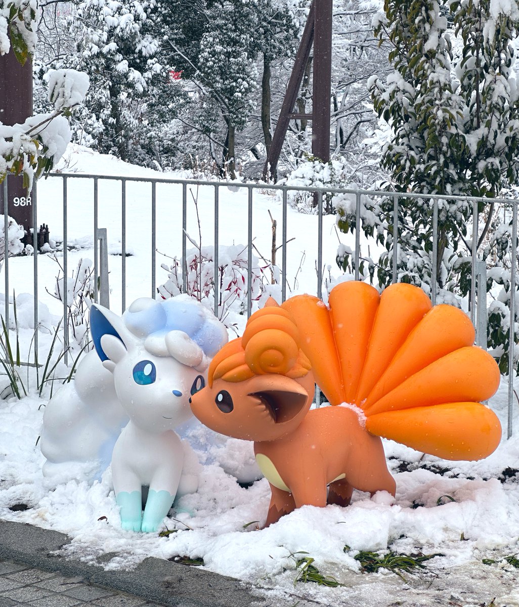 alcremie_Ruby's tweet image. にたものどうし🤍