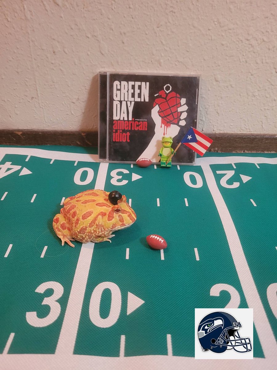 Jinshi the albino pacman frog is all ready for the Superbowl and the Bad Bunny and Green Day performances.  (Seahawks pics other post for the Patriots) #superbowl    #Jinshi #frogsofinstagram🐸 #badbunny #greenday