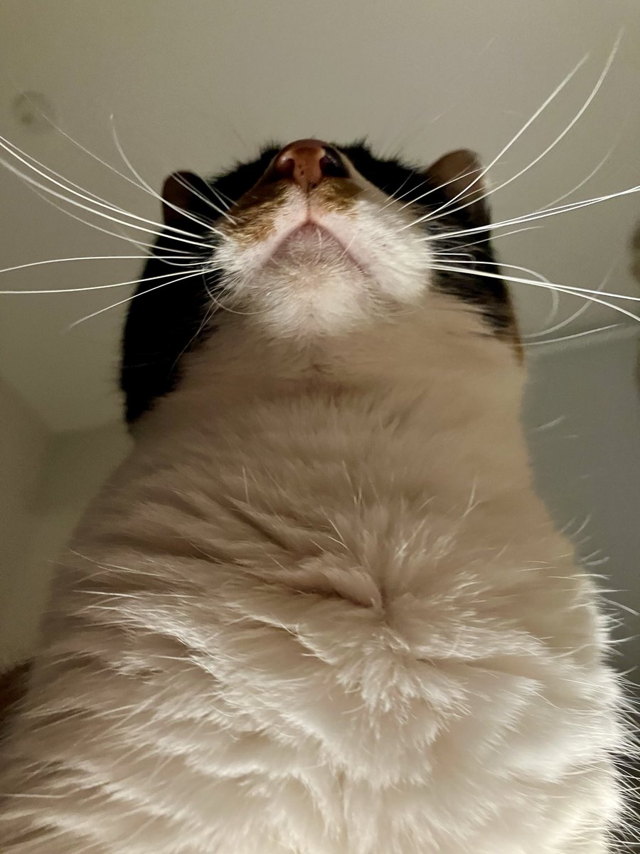 みんみんの裏側からおはようございます☃️
　　\あさごはんがちえんしているな…/ﾋﾟｬｲ