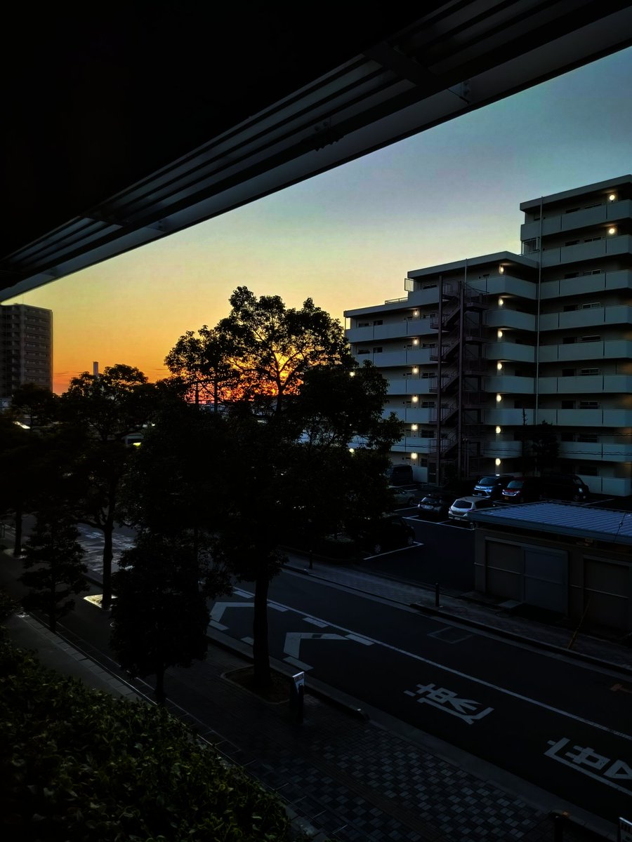 今朝の川口
この冬一番の寒さっぽい
昨日の雪の残りが
カチンコチンに凍り
空気を冷やしている