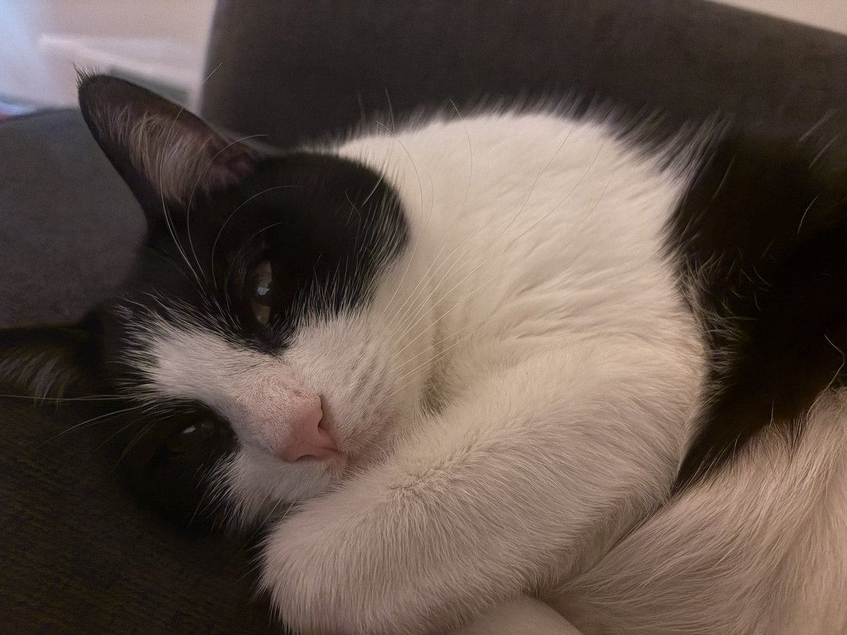 Is she not THE MOST baby girl thing you have ever seen??????????