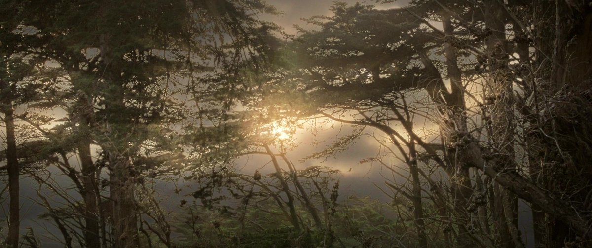 eldarielentari's tweet photo. “Mr. Frodo, look.. the King’s got a crown again.” https://t.co/dWHN1TbagL
