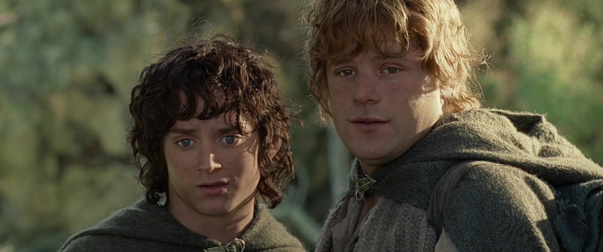 “Mr. Frodo, look.. the King’s got a crown again.”