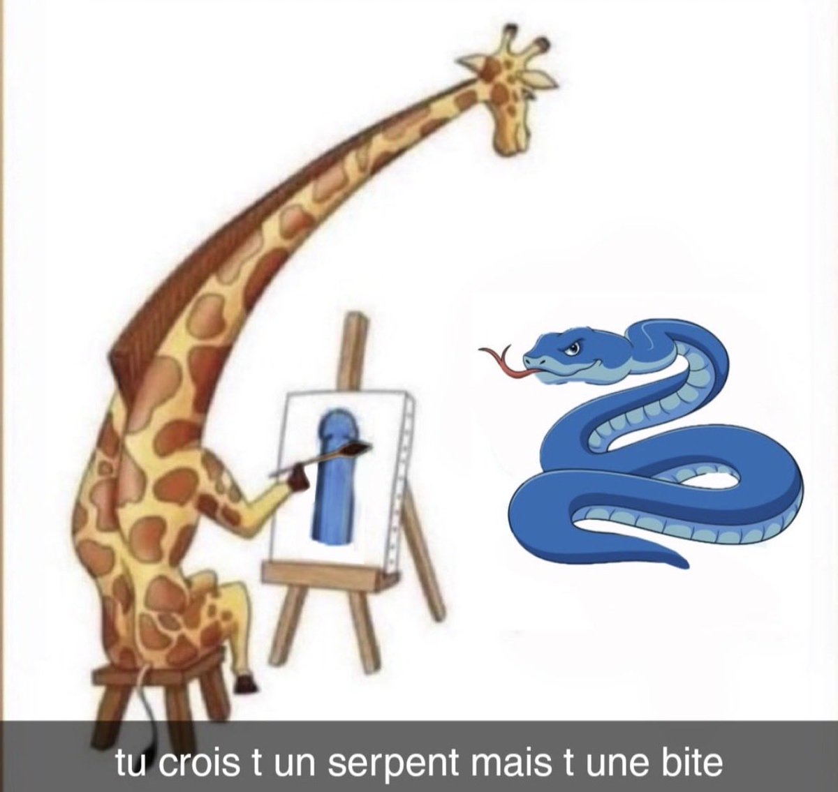 FASTER JUNIOR X 🪢🇲🇦 tweet media