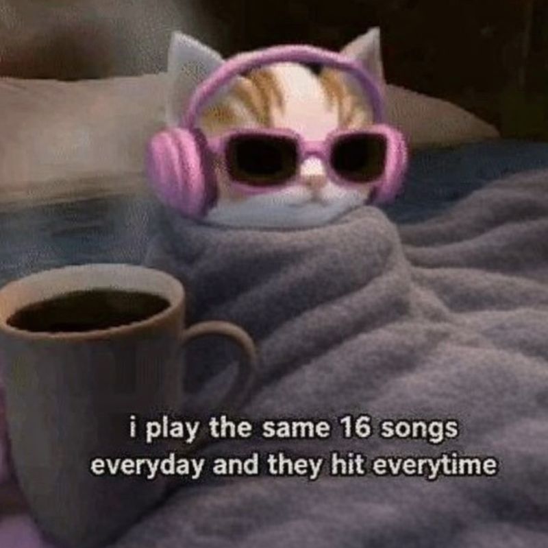Cool Cat Society (@coolcatsociety) on Twitter photo 