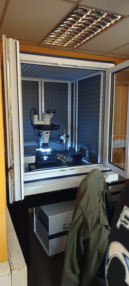 Colegio Decroly tweet media