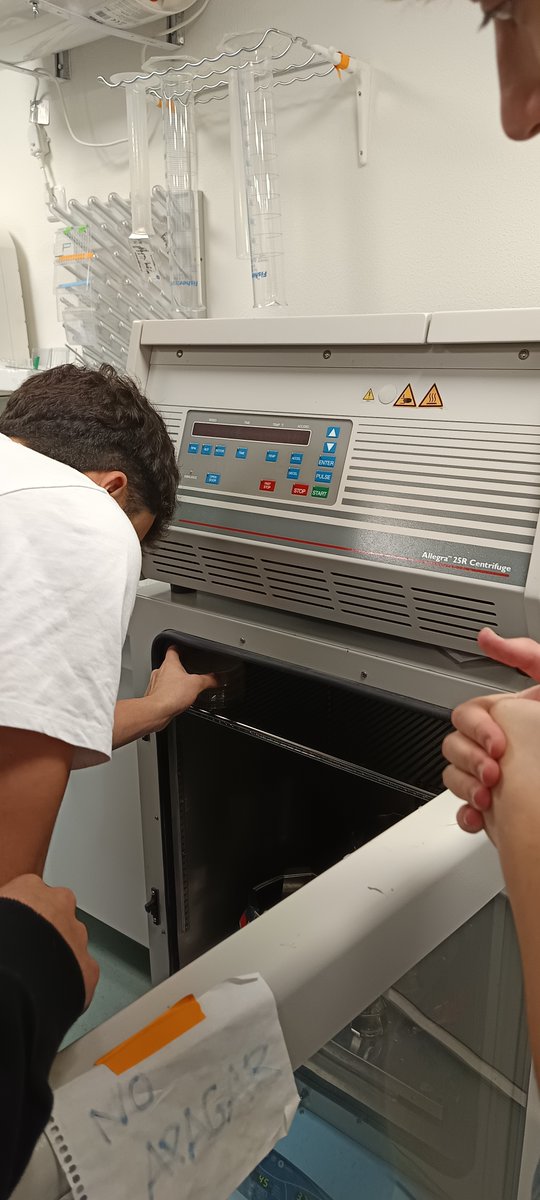 Colegio Decroly tweet media