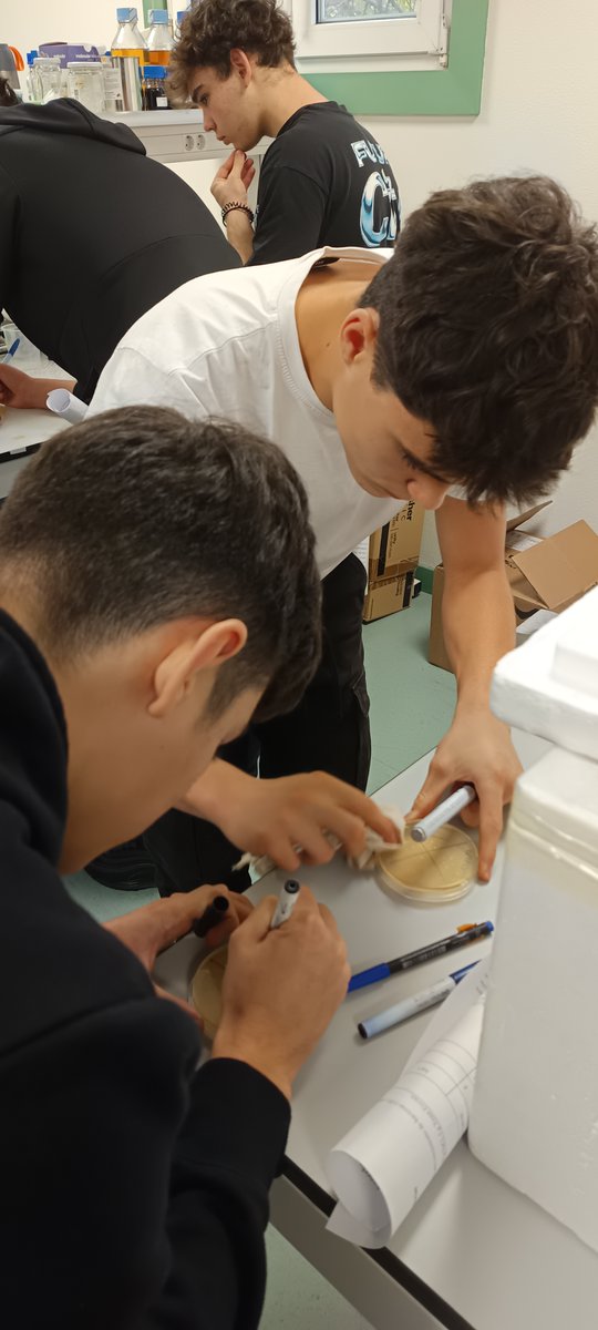 Colegio Decroly tweet media