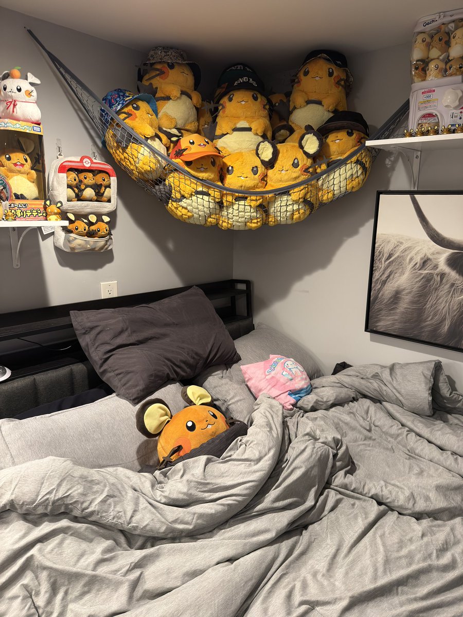 Cozy and sleepy 😆🧡🐹🛌💤✨